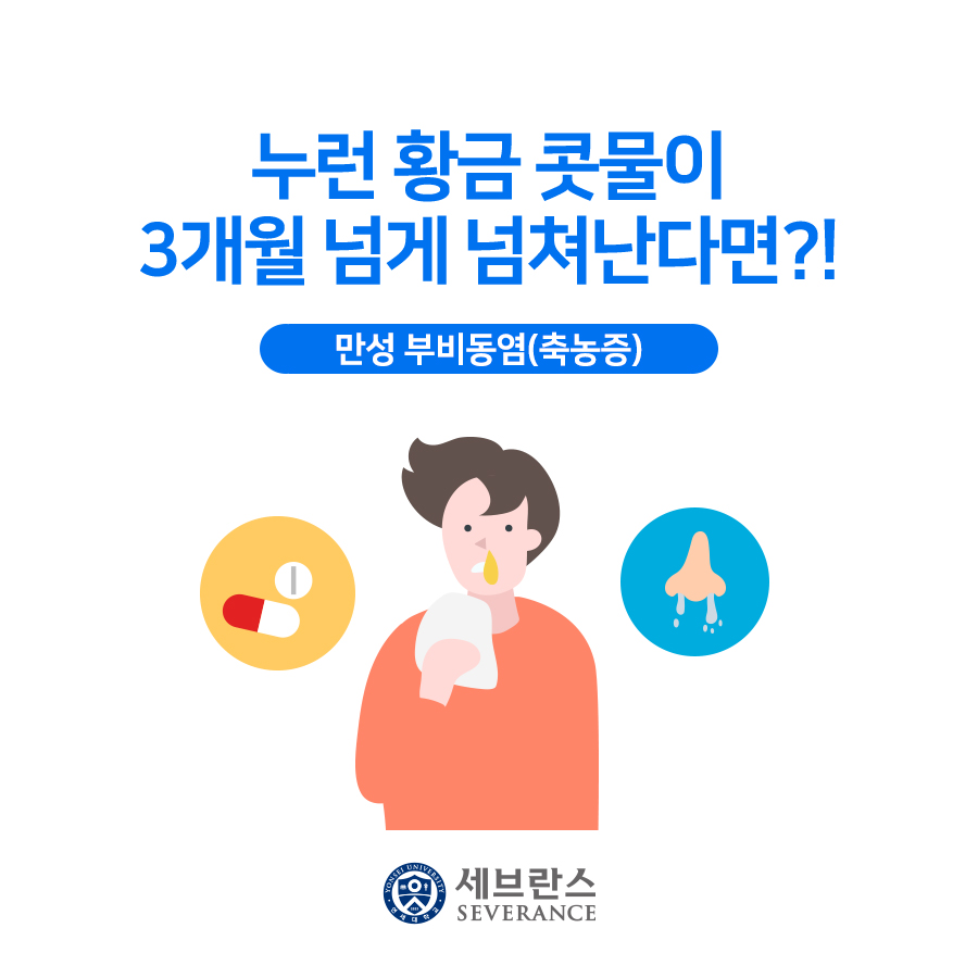 누런 황금 콧물이 3개월 넘게 넘쳐난다면?! - 만성 부비동염(축농증) 