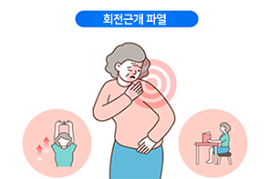 건강정보